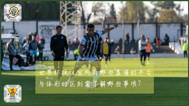 世界杯投注官网有哪些靠谱的平台与体彩的区别需了解哪些事项？